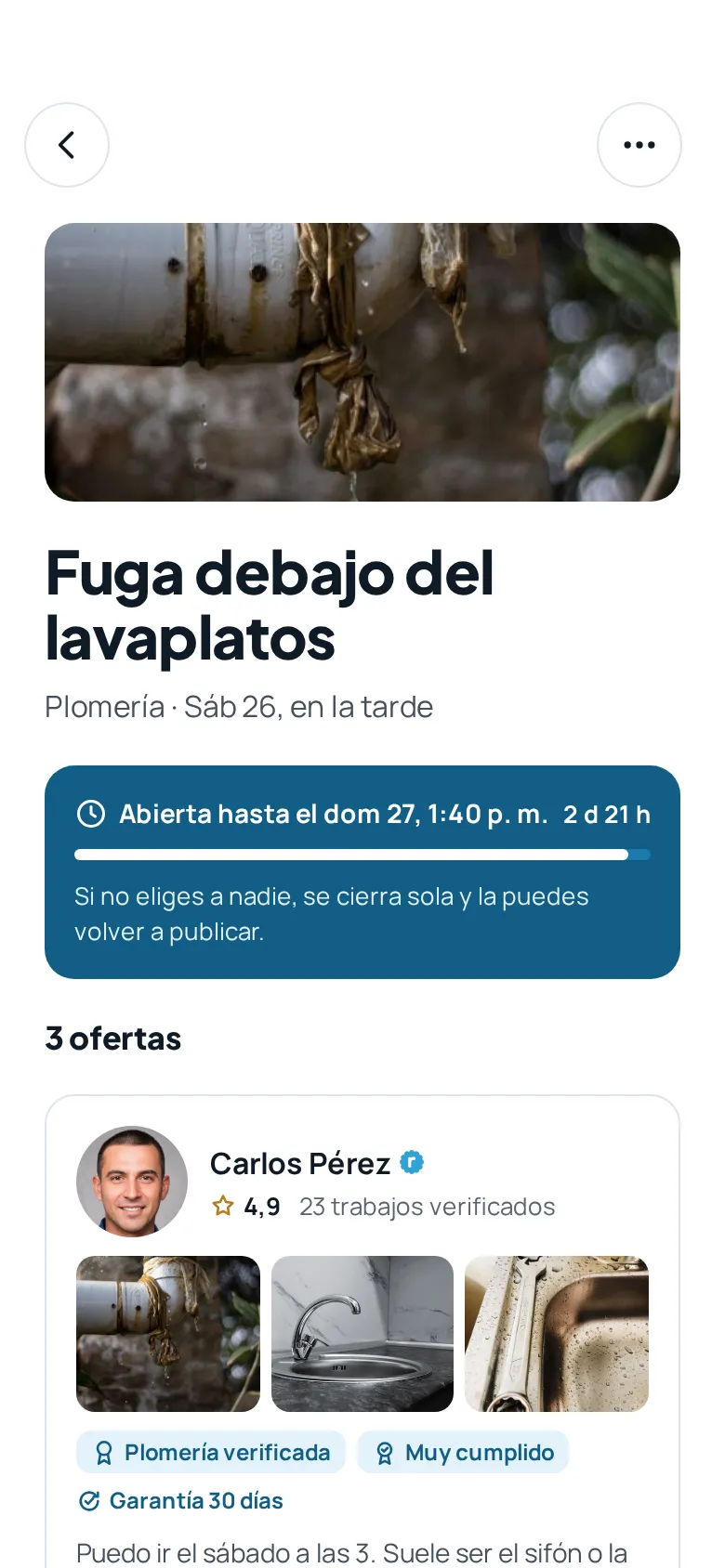 Las ofertas de los profesionales, con su foto, sus calificaciones y sus trabajos